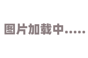 燕窝最新价格查询,燕窝最新价格查询，品味天然滋养，了解市场走势，燕窝最新价格，天然滋养的品味与市场走势了解