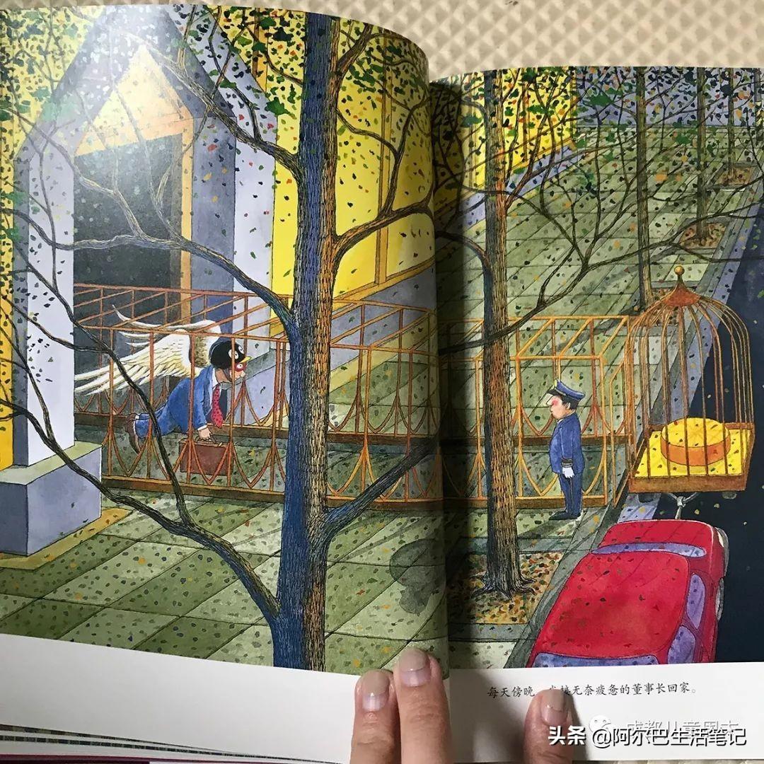 几米最新绘本,几米最新绘本，探索梦境与现实的交织之美，几米最新绘本，梦境与现实的交织之美探索
