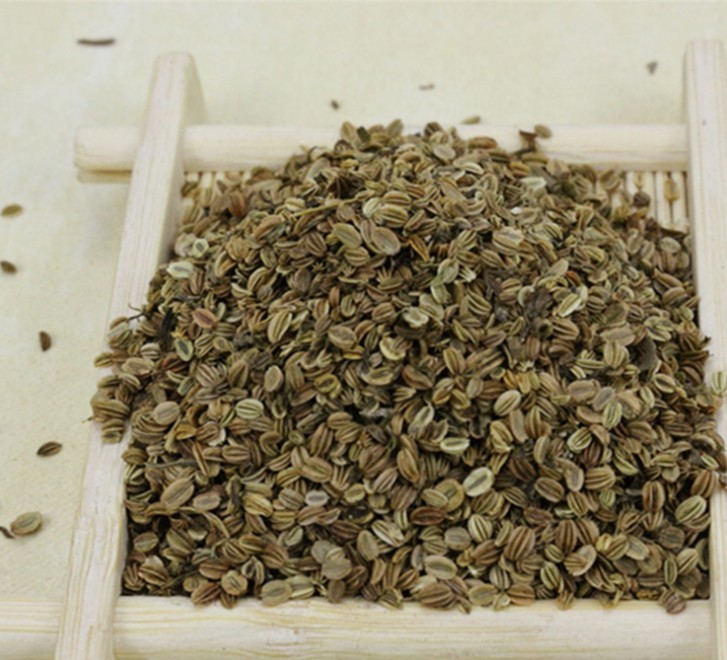 蛇床子最新价格,蛇床子的最新价格，探寻天然植物的价值与变化，探寻蛇床子最新价格，天然植物的价值与变化解析
