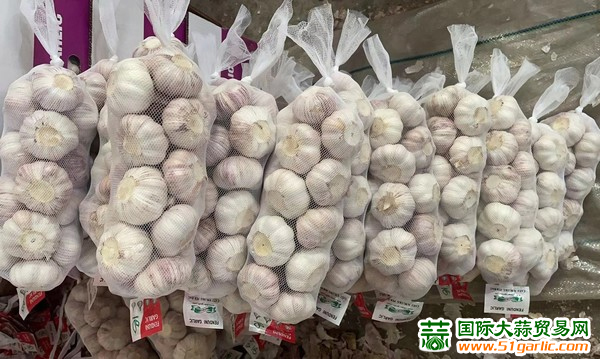 大蒜最新价格国际大蒜网,大蒜最新价格动态及国际大蒜网的影响力，大蒜最新价格动态，国际大蒜网影响力及价格走势分析
