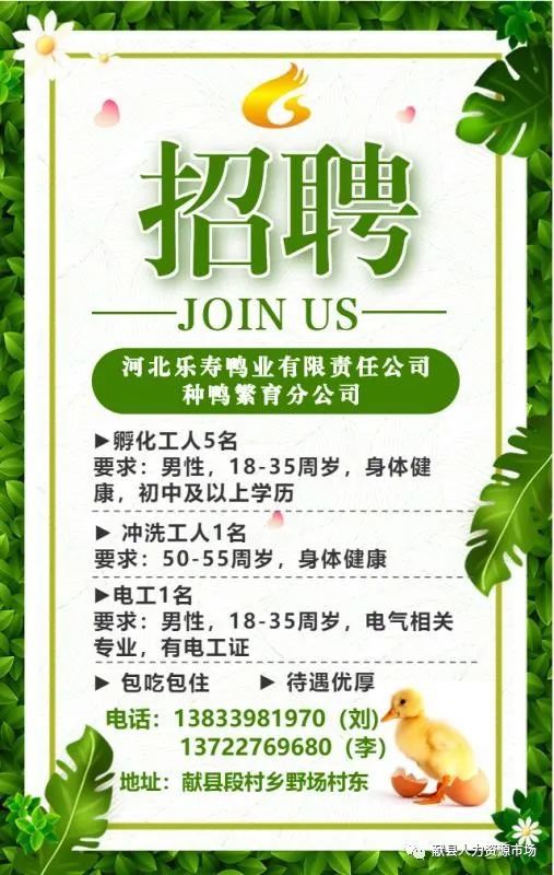合川招聘网最新招聘,合川招聘网最新招聘，探寻职业发展的热门机会与未来趋势，合川招聘网最新招聘，热门职位与未来趋势探寻，职业发展新机遇！