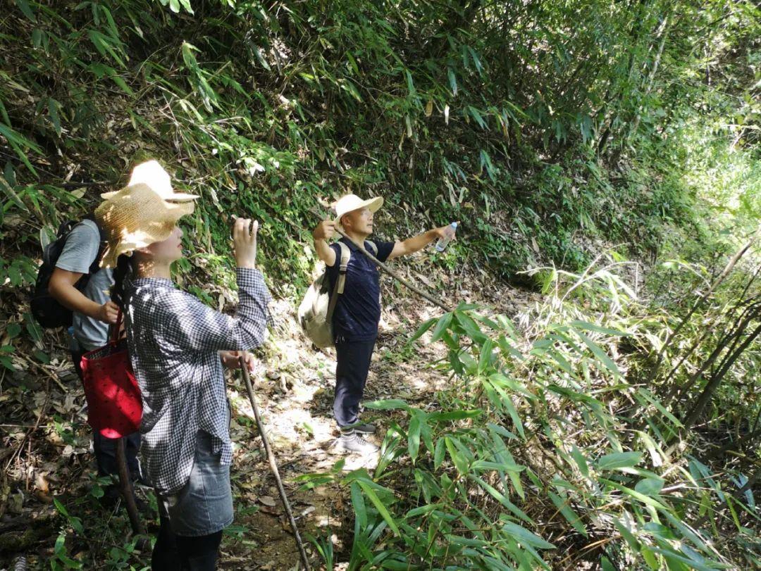 最新版天路,探索最新版天路，一段心灵的旅程，心灵之旅，探索最新版天路之旅