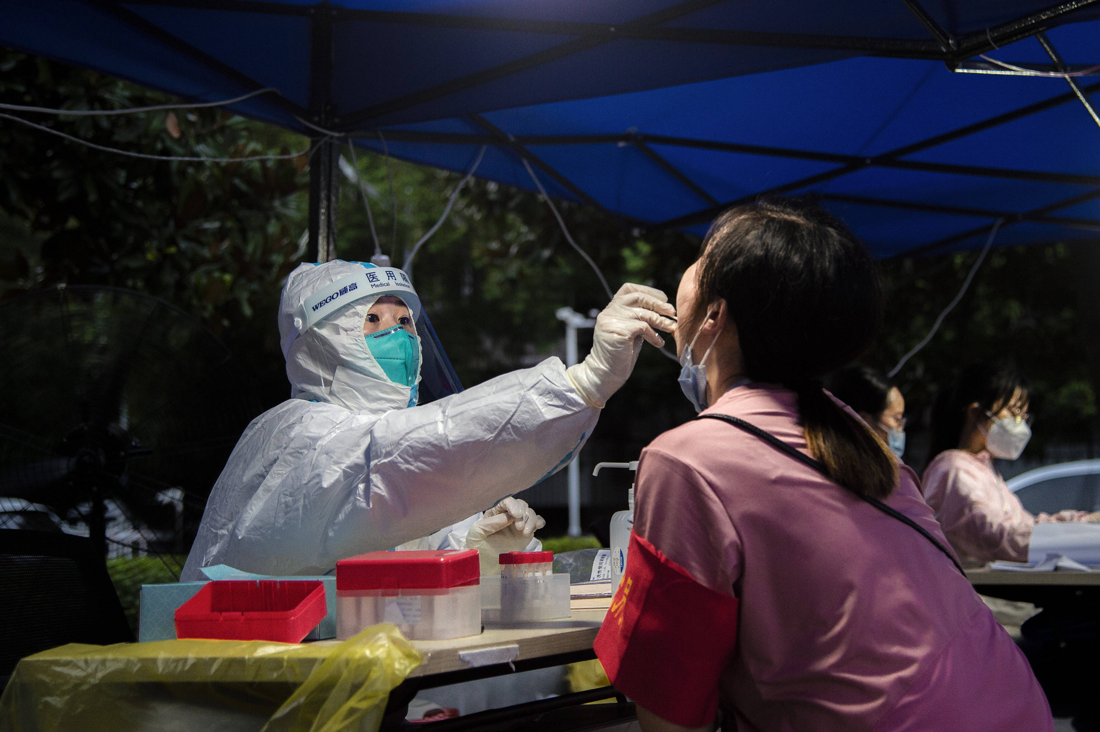全国最新疫情核酸检测,全国最新疫情核酸检测，筑牢防线，守护健康，全国最新疫情核酸检测，筑牢防线，守护全民健康