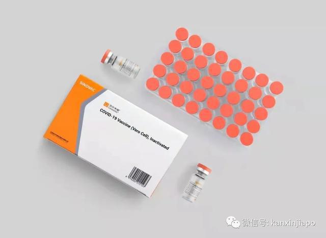 马来西亚最新疫苗,马来西亚最新疫苗，照亮未来的希望之光，马来西亚最新疫苗，照亮未来的希望之光之光