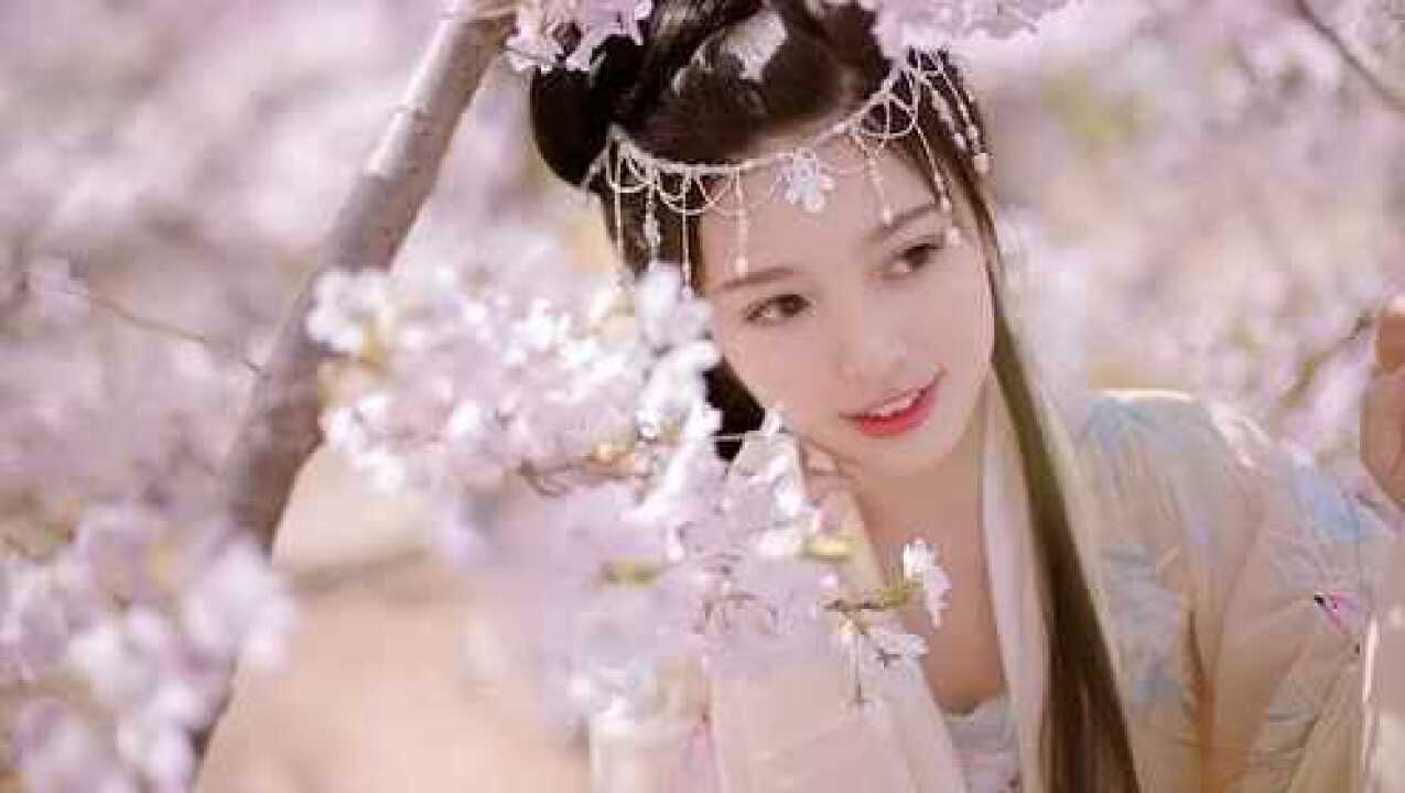 杨辰秦惜最新,杨辰秦惜——最新篇章的情感交织，杨辰秦惜最新篇章，情感交织的深度探索