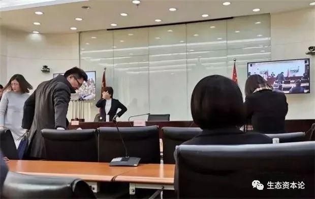 凯迪电厂最新公告,凯迪电厂最新公告引领未来能源发展之路，凯迪电厂最新公告揭示未来能源发展引领之路