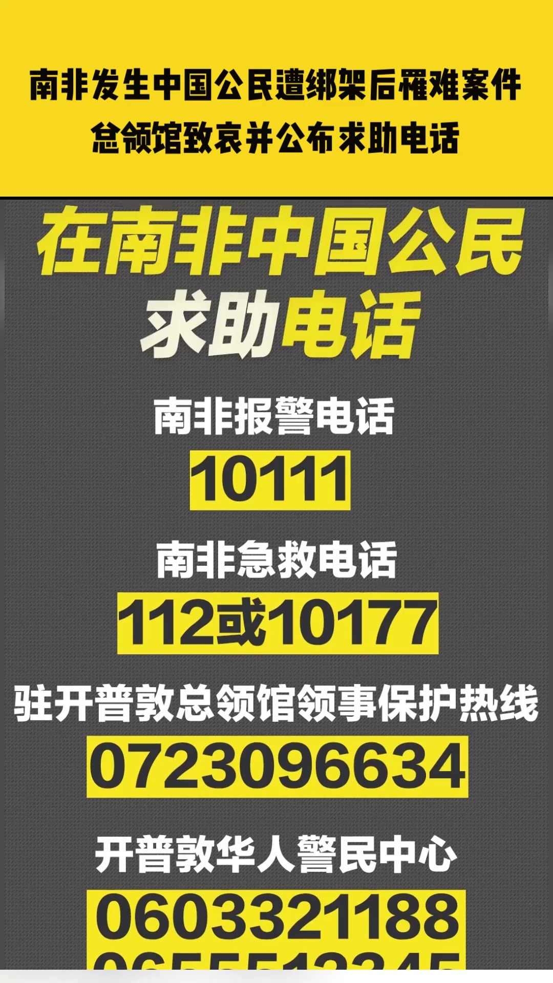 南非最新发布消息,南非最新发布消息引领全球瞩目，南非最新发布消息引全球瞩目