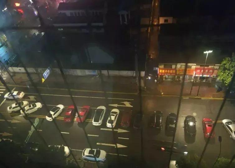 博民生物科技 第164页