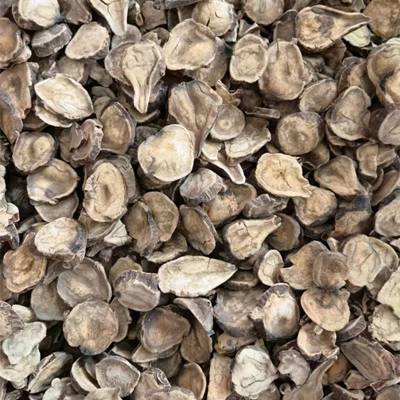 附子价格,附子价格背后的故事，探寻中药材世界的奥秘，探寻中药材奥秘，附子价格背后的故事揭秘