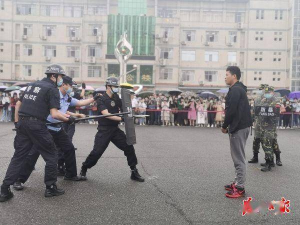 三肖三期必出特马,安全保障措施_原汁原味版57.204