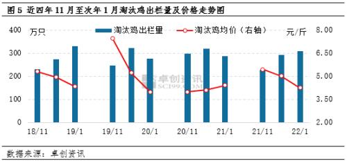 淘汰蛋鸡行情,淘汰蛋鸡行情深度解析，淘汰蛋鸡行情深度解析与走势预测