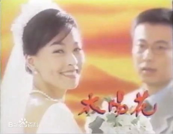 太阳花电视剧,太阳花电视剧，绽放的光影魅力与人生启示，太阳花电视剧，光影魅力与人生启示的绽放