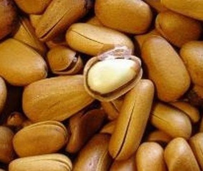 口腔卫生用品 第112页