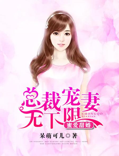 爱上冷傲女总裁 新篇,新篇章，爱上冷傲女总裁，新篇章，冷傲女总裁的恋爱之旅