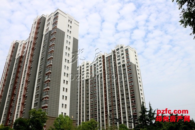 邳州最新房,邳州最新房产动态，探索城市新篇章的居住梦想，邳州最新房产动态，探索城市居住梦想，开启新篇章