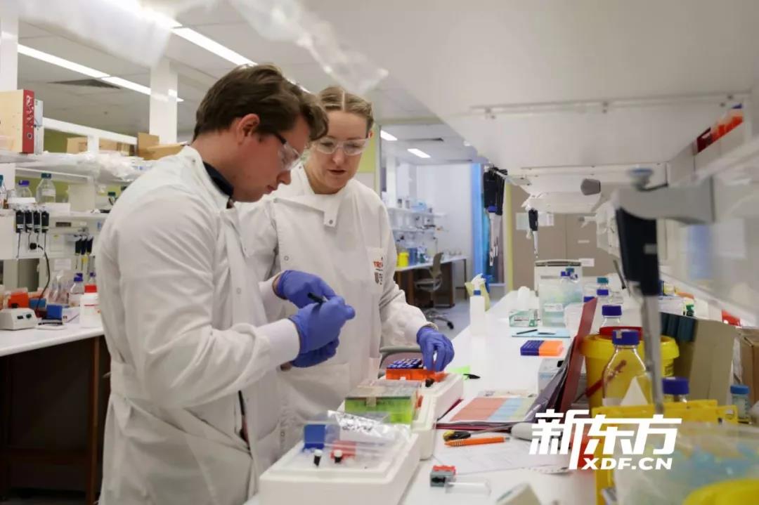 最新医学科研成果,最新医学科研成果，重塑健康与未来的希望，最新医学科研成果，重塑健康，点亮未来希望之灯。