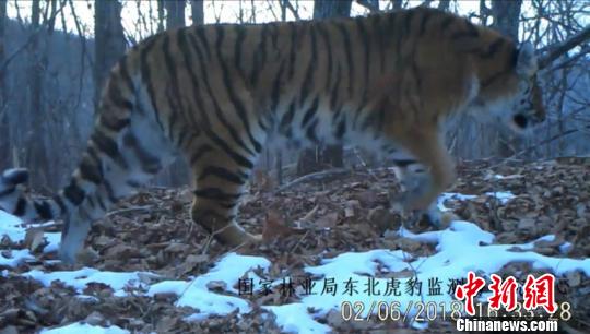 易舒洁免洗手消毒液 第95页
