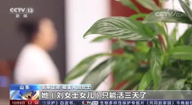 最新打架新闻,最新打架新闻背后的故事，社会现象深度剖析，最新打架新闻背后的故事与社会现象深度剖析
