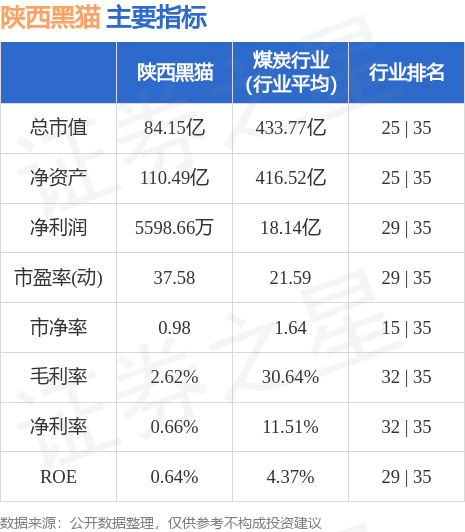 陕西黑猫最新消息,陕西黑猫最新消息，引领变革，共创未来，陕西黑猫引领变革，共创未来，最新消息速递