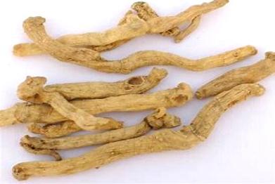 玉竹最新价格行情,玉竹最新价格行情，市场走势与产业前景展望，玉竹最新价格行情，市场走势、产业前景展望与分析