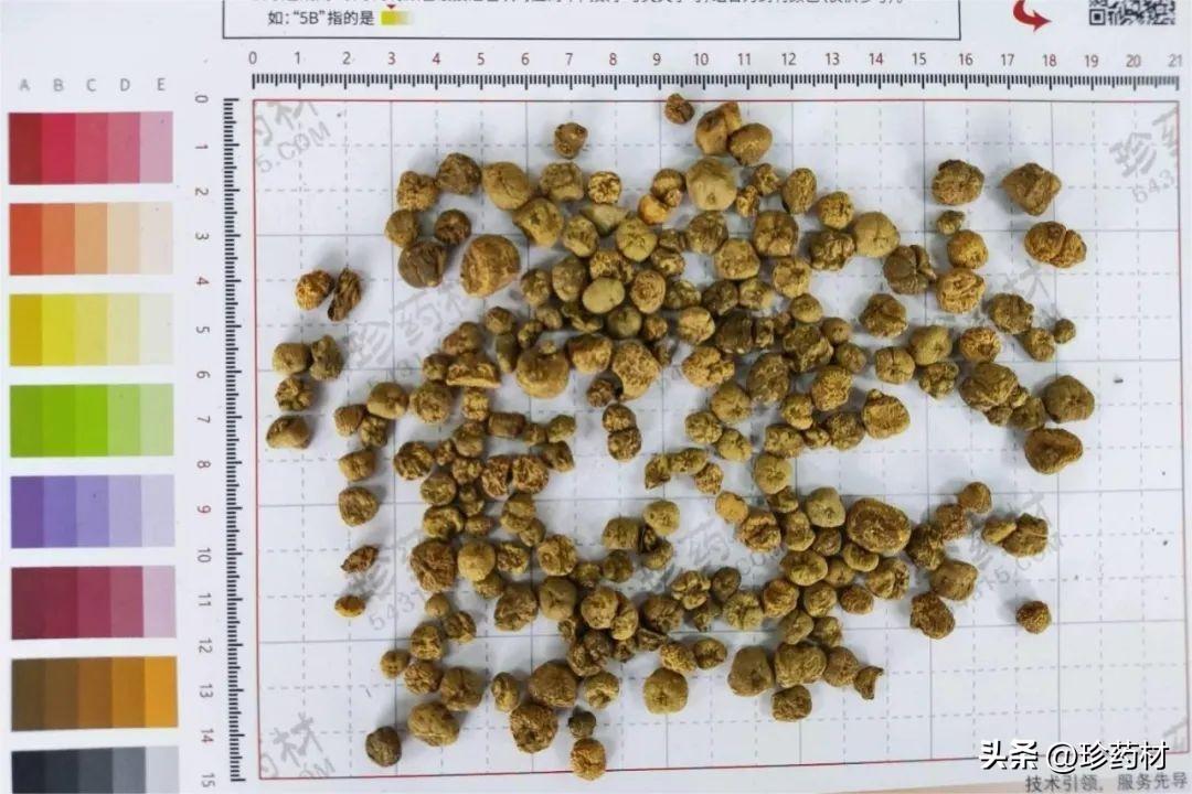 易舒洁免洗手消毒液 第53页